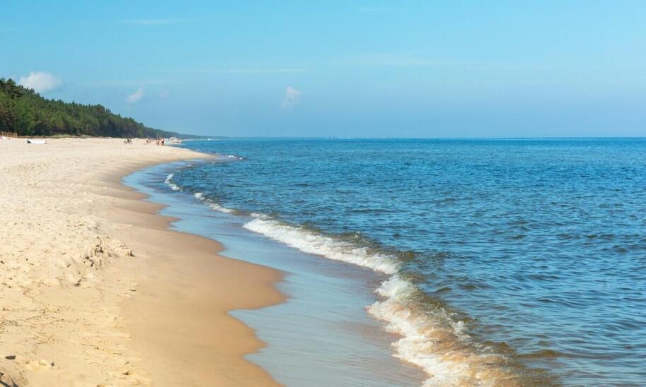 Jakie są najlepsze praktyki przy wyborze pokoju do wynajęcia w Jastrzębiej Górze?