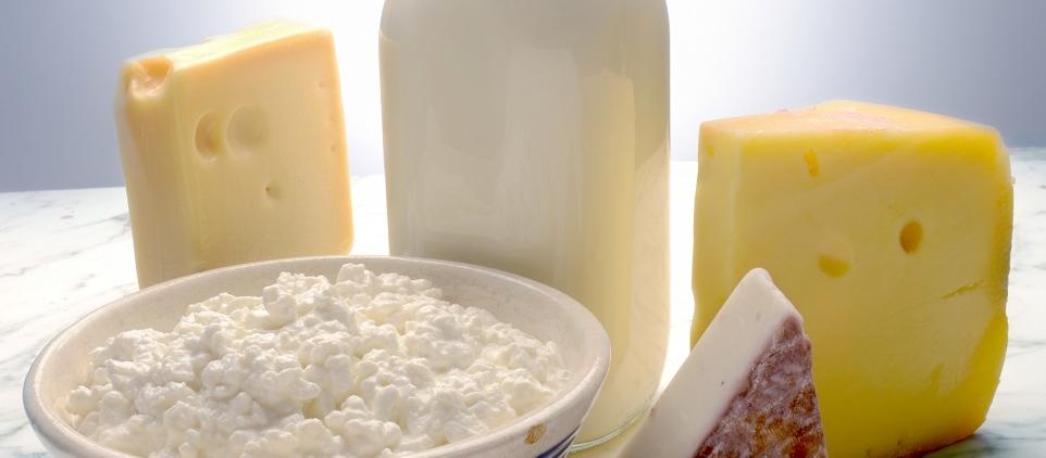 Rola wapnia w mleku w produkcji serów Rola wapnia w mleku w produkcji serów