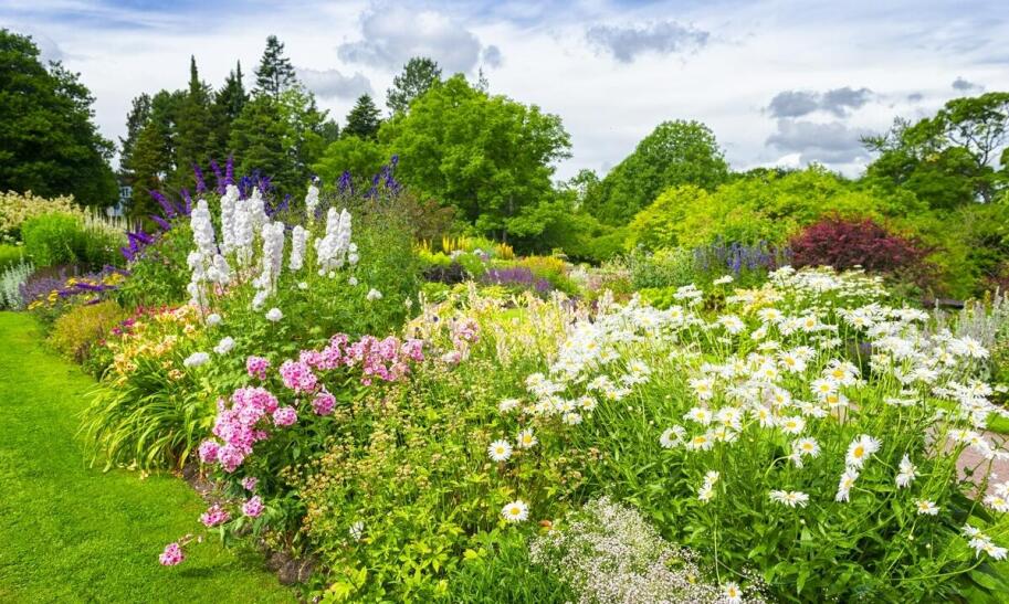 Ogród botaniczny w Krakowie – dlaczego warto go odwiedzić? Ogród botaniczny w Krakowie – dlaczego warto go odwiedzić?