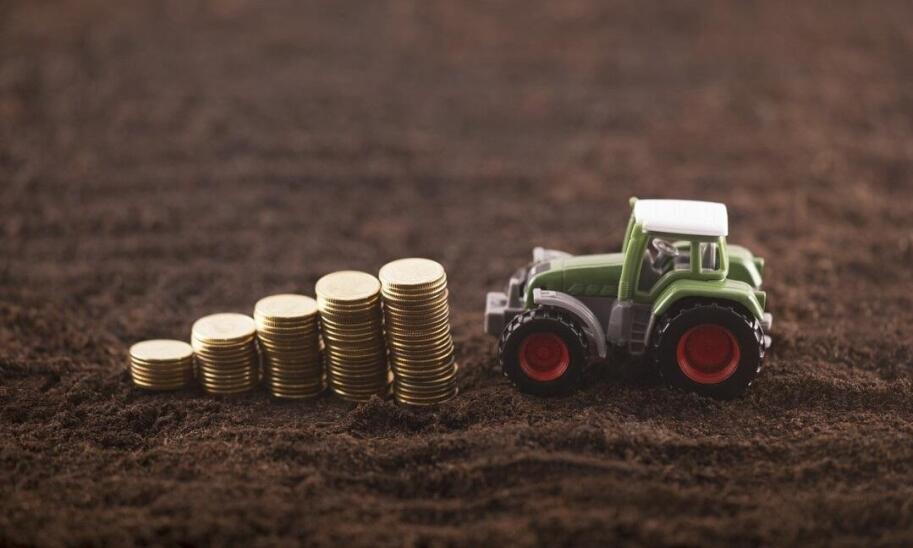 Najczęstsze przyczyny zadłużenia gospodarstw rolnych