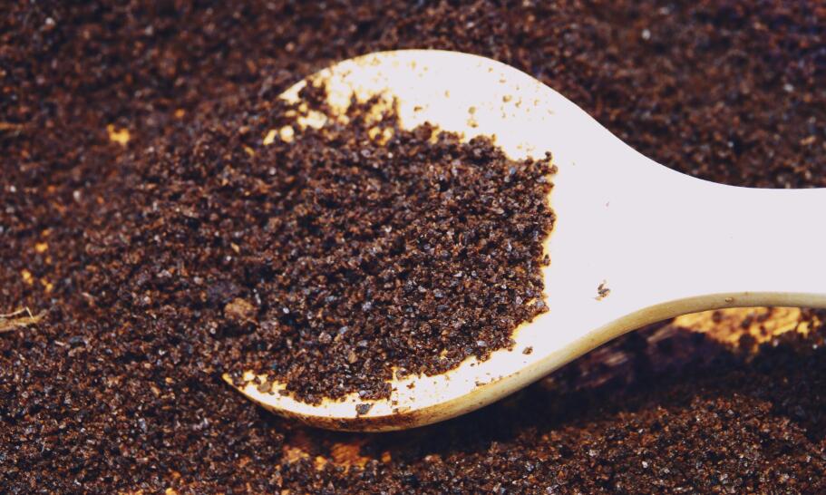 Jak zrobić nawóz z fusów kawy i naturalnie zasilać rośliny?