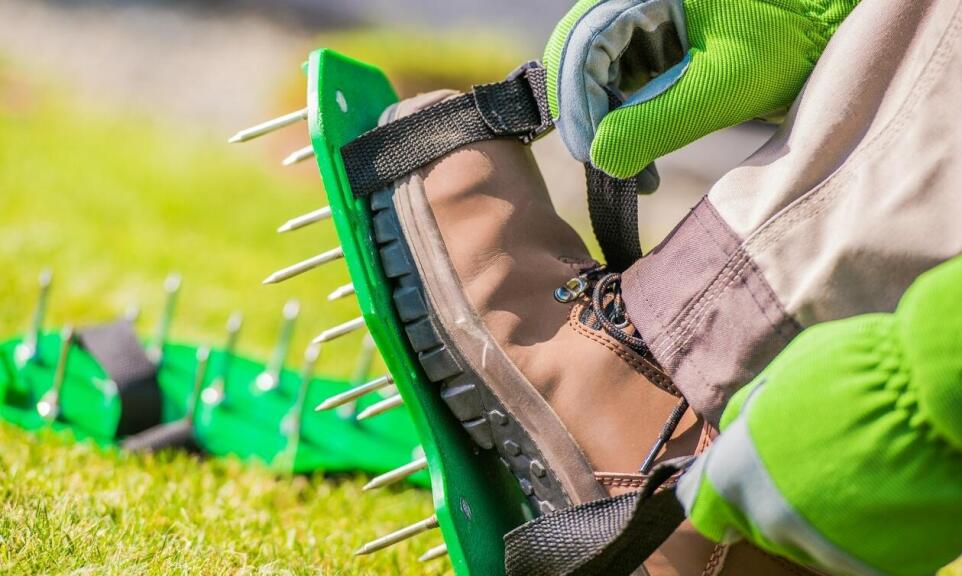 Jakie są nowe technologie w wertykulacji trawników stosowane przez profesjonalistów?