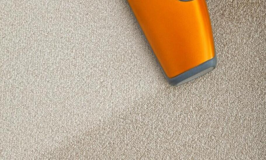 Jakie są korzyści z prania dywanów z usunięciem sierści zwierząt?