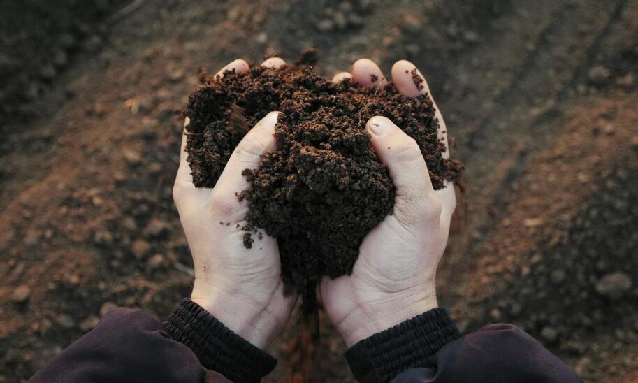 Folie rolnicze a poprawa jakości gleby