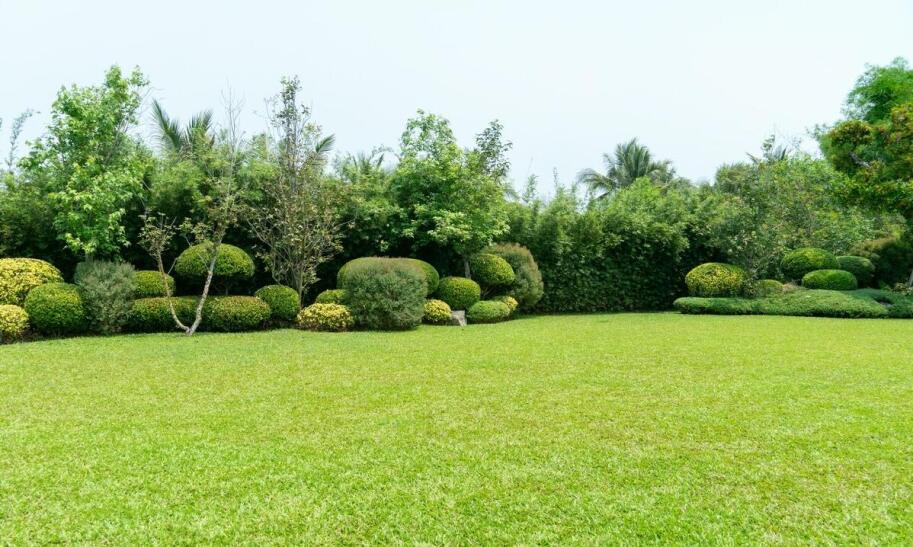 Gdzie warto pojechać z dzieckiem w Bieszczady?