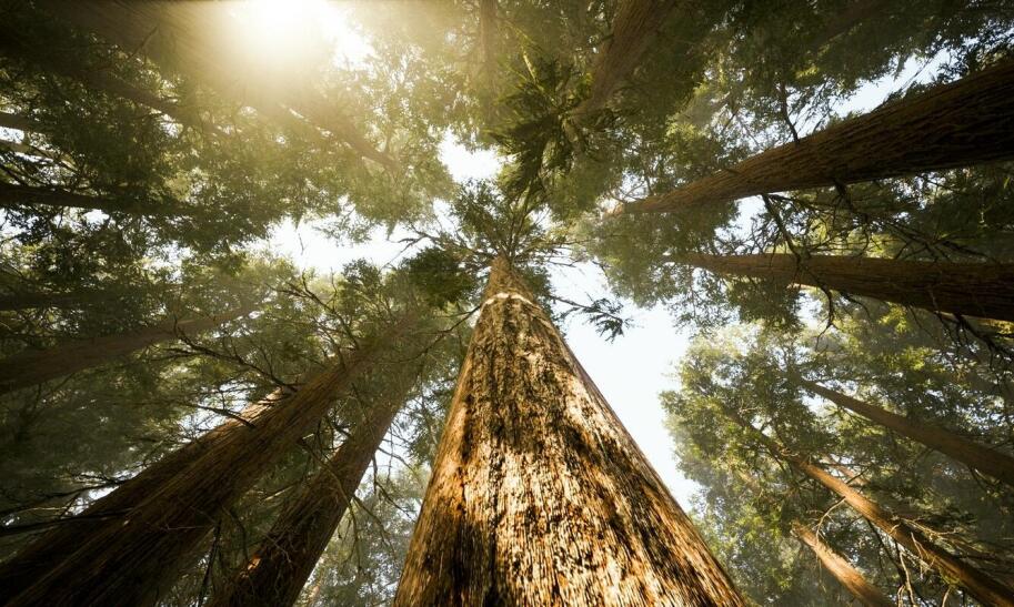 Jaki camping na Mazurach warto wybrać?