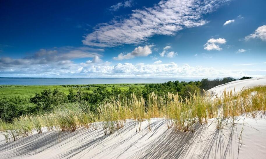 Co można zobaczyć w Łebie?