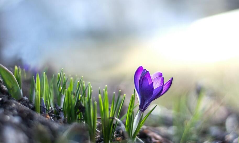 Jakiej firmy buty trekkingowe warto wybrać?