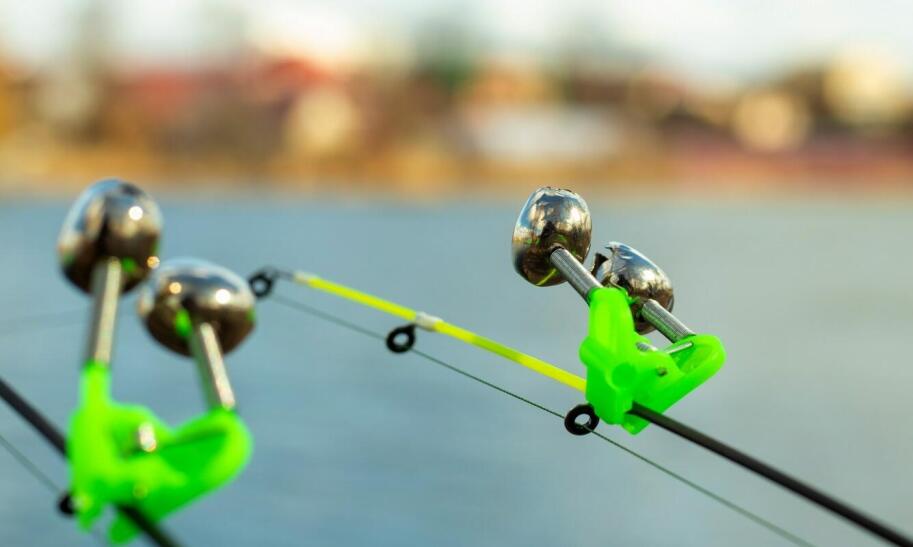 Czy nad morzem można łowić ryby?