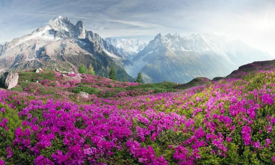 Gdzie warto jechać w Alpy?