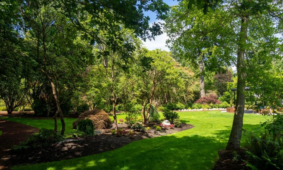 Drzewa i krzewy ozdobne – Sequoia Centrum Ogrodnicze