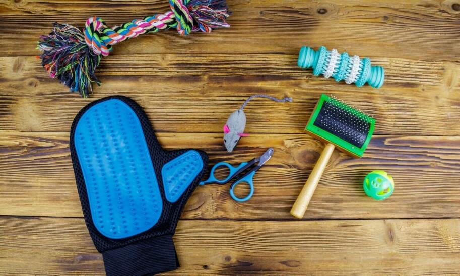 Czy ubrania dla psów mogą wspierać ich zdrowie i samopoczucie?