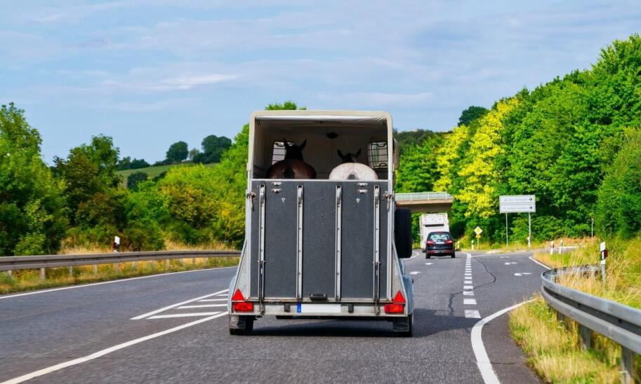Bezpieczeństwo transportu z przyczepami do przewozu koni: co warto wiedzieć?