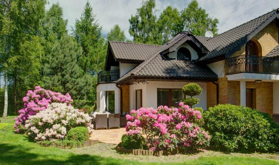 Projekty ogrodów: jak przekształcić przestrzeń wokół domu w oazę spokoju