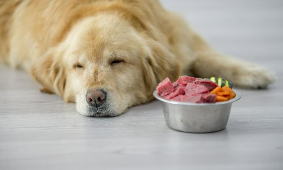 Kompozycja wartości odżywczych w mrożonym mięsie dla psów różnych ras i wielkości