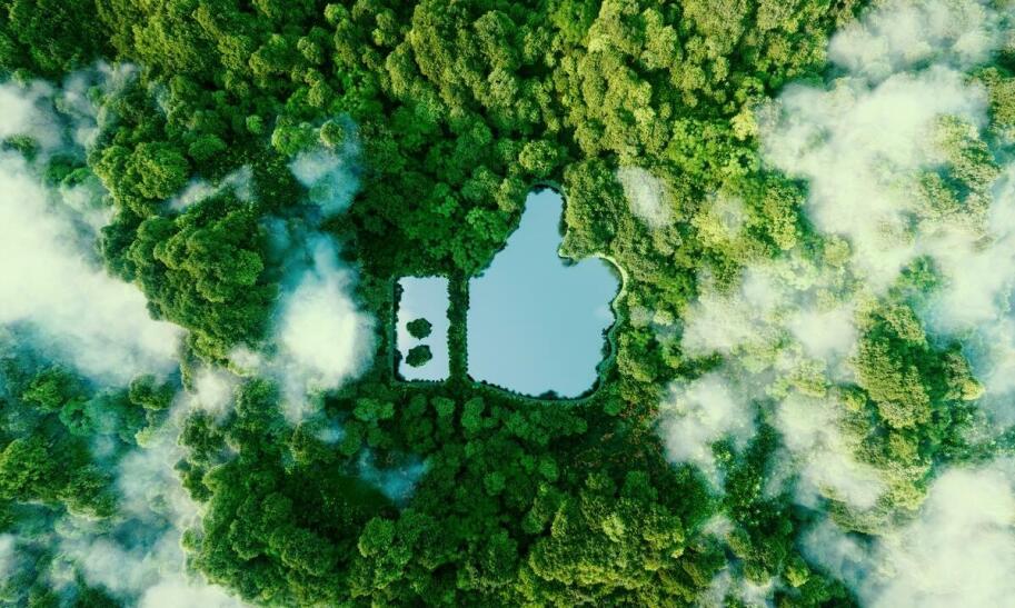 Czym jest państwowy monitoring środowiska?