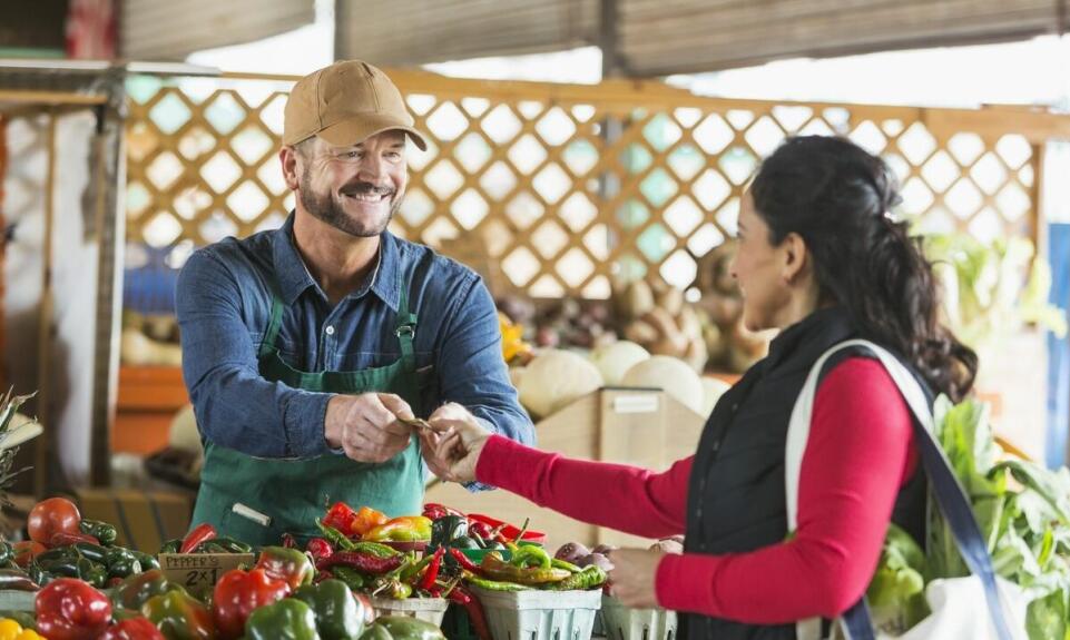 Codzienna świeżość warzyw prosto z pola w Twojej kuchni