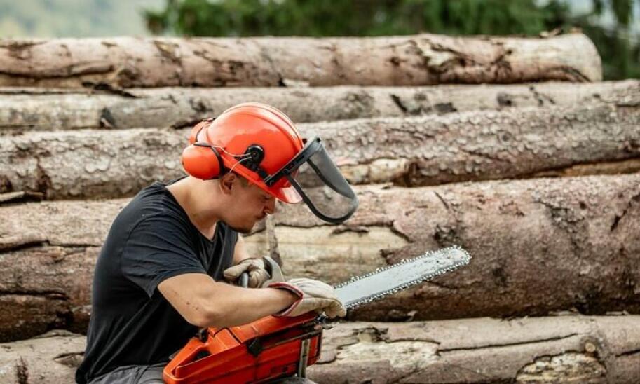 Wykorzystanie specjalistycznego sprzętu podczas wycinki drzew w Redzie
