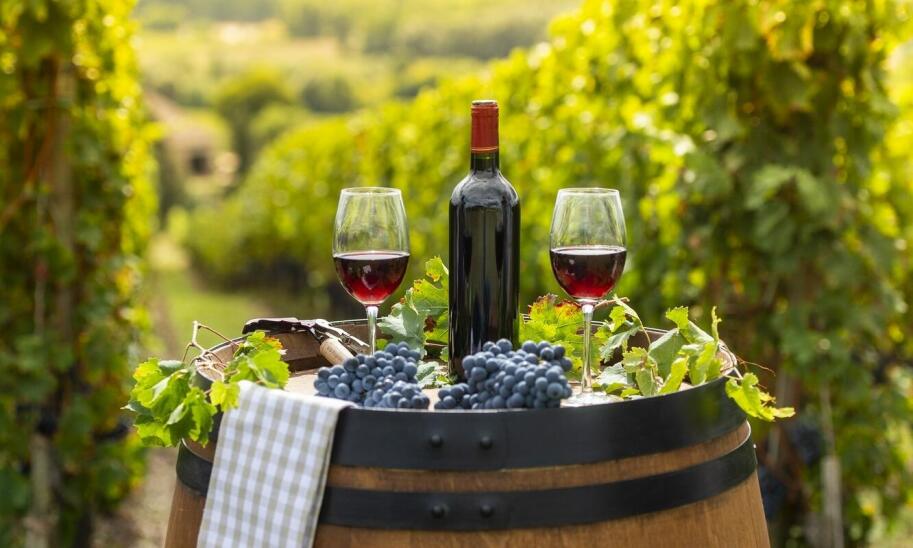 Przewodnik po degustacjach win toskańskich: co musisz wiedzieć?