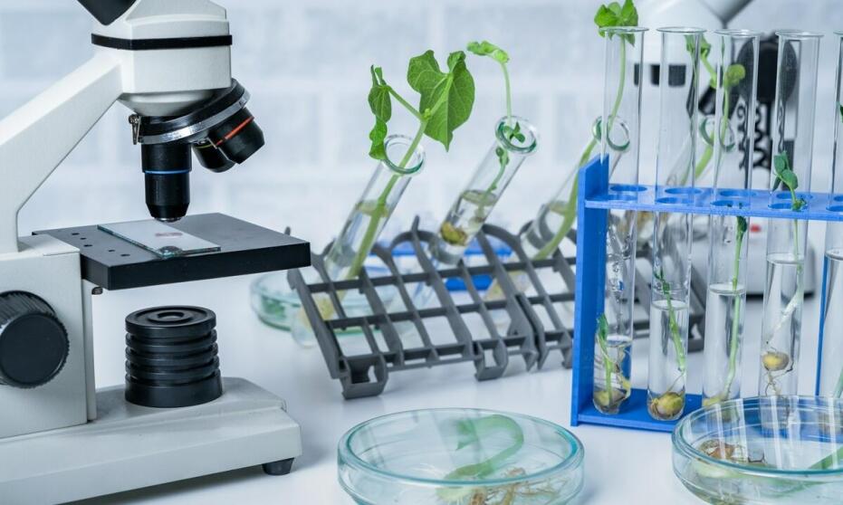 Rola laboratoriów i pracowni w procesie kształcenia na studiach stacjonarnych