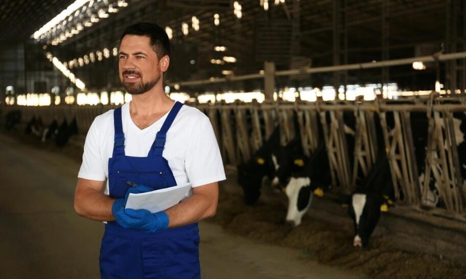 Cielęta mięsne: Jak profesjonalne doradztwo wspiera hodowców?