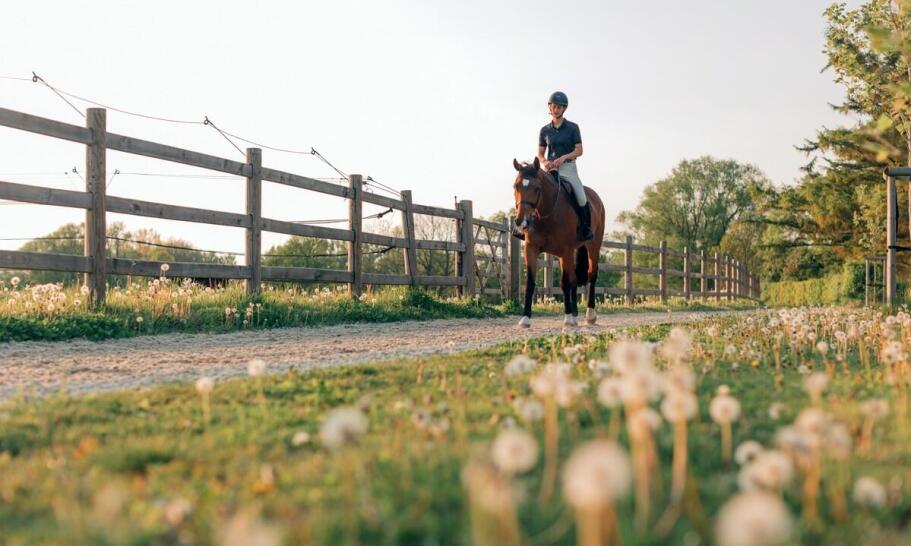 Zajęcia edukacyjne dla dzieci w stadninie koni: nauka przez zabawę