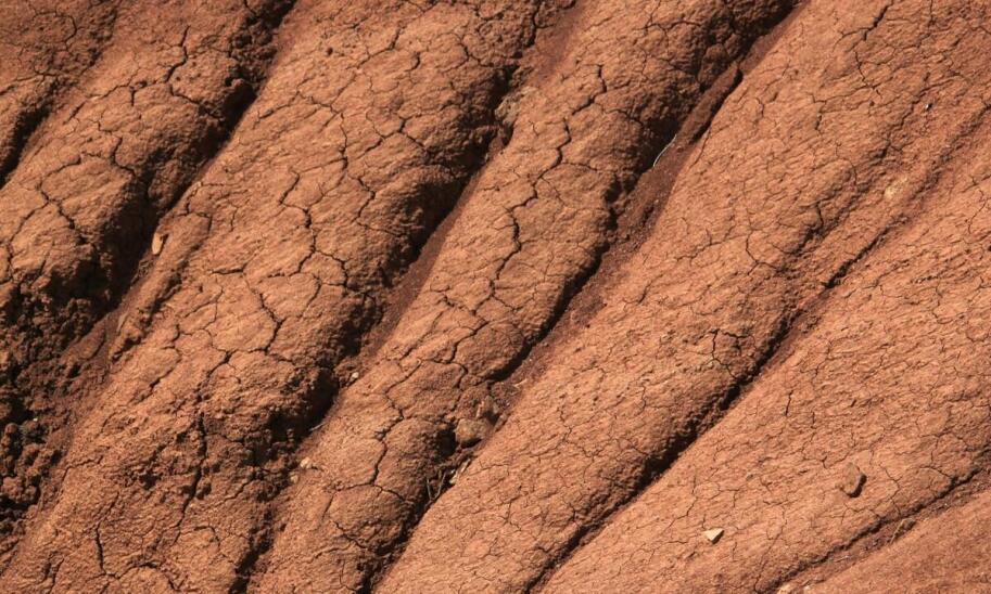 Szkody górnicze a odpowiedzialność zakładów za utratę plonów