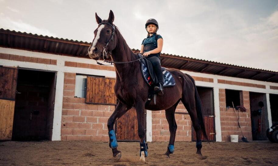 Nauka lonżowania konia: Praktyczne porady dla zaawansowanych trenerów