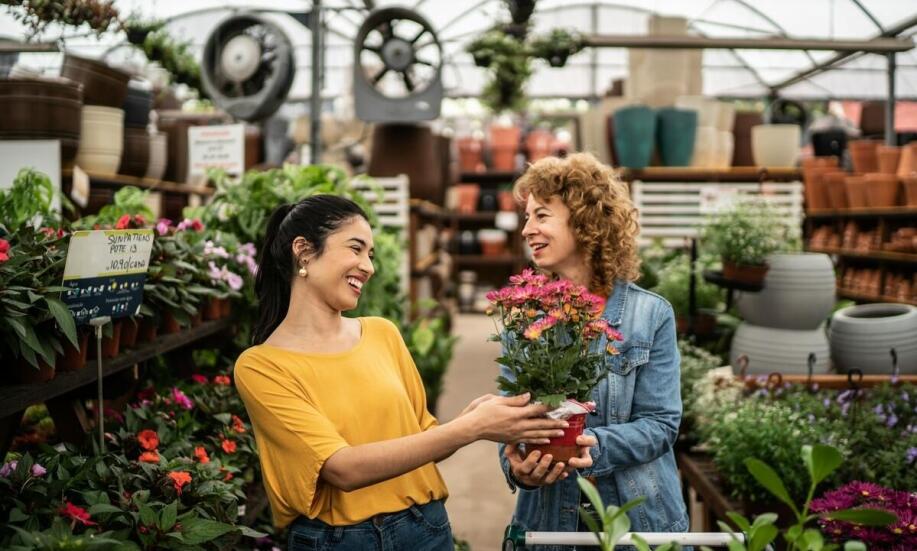 Spodnie do ogrodu damskie a ochrona przed owadami – co oferują producenci?