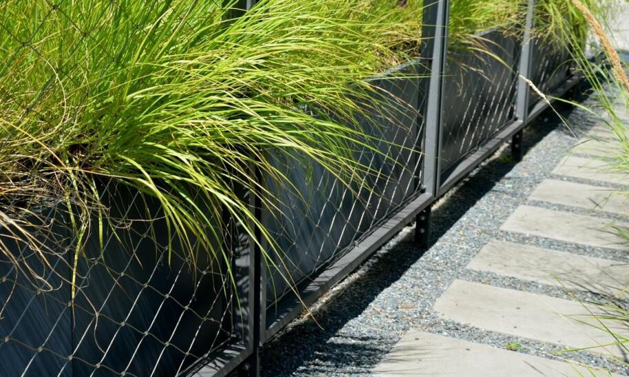 Ile metrów siatki znajduje się w jednej rolce?