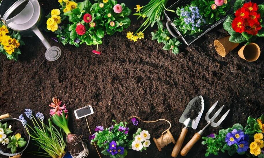 Jaką glebogryzarkę kupić i jakie są opinie użytkowników