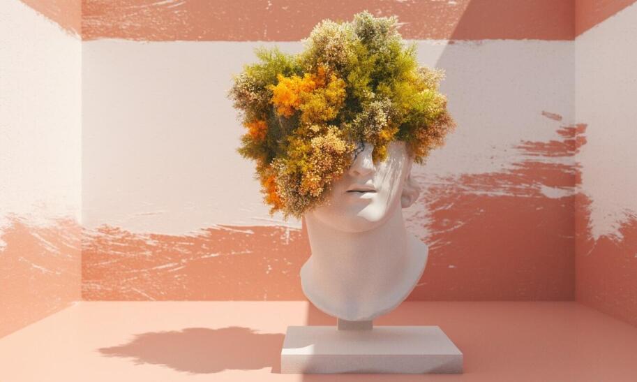 Czerwona kalina – co to jest i jakie ma znaczenie