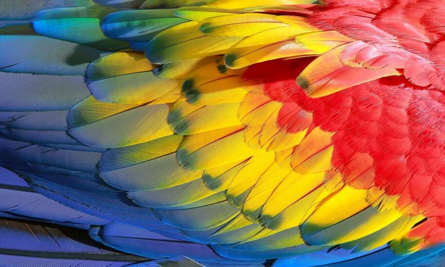 Zoo Wrocław bilet online czy trzeba drukować?