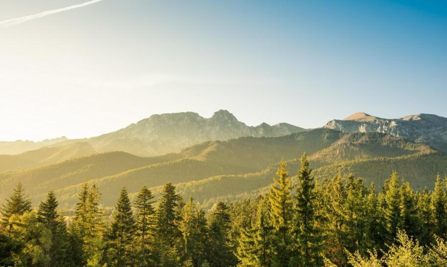 Czy zakopianka jest dziś przejezdna?