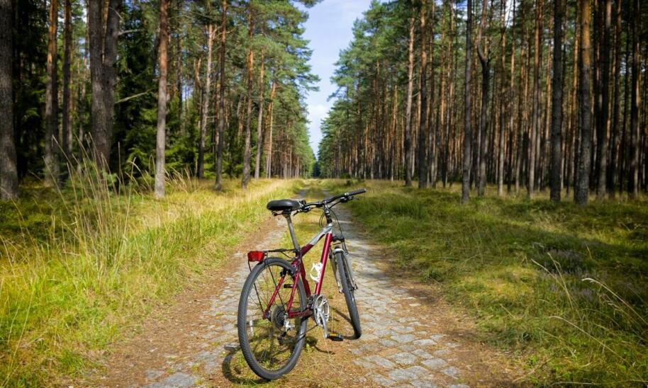 Wicie wakacje: jak korzystać z uroków lokalnych tras rowerowych?