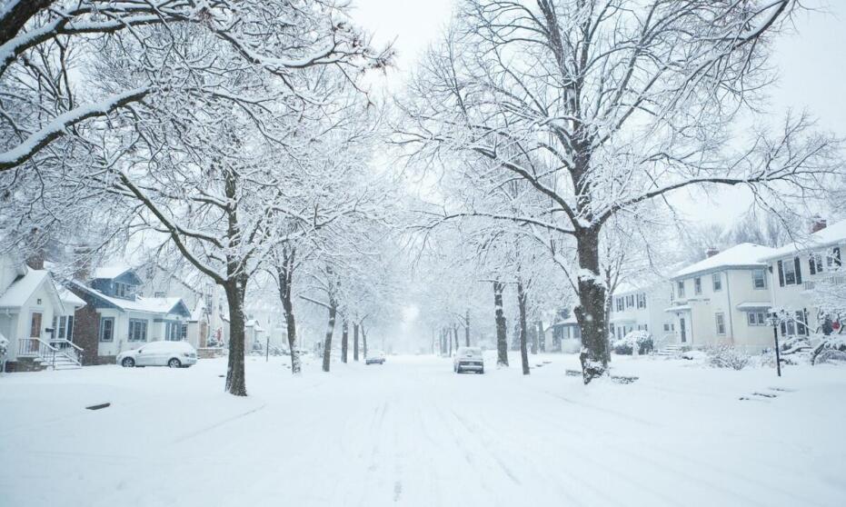 Jakie są kluczowe aspekty zarządzania procesem odśnieżania?