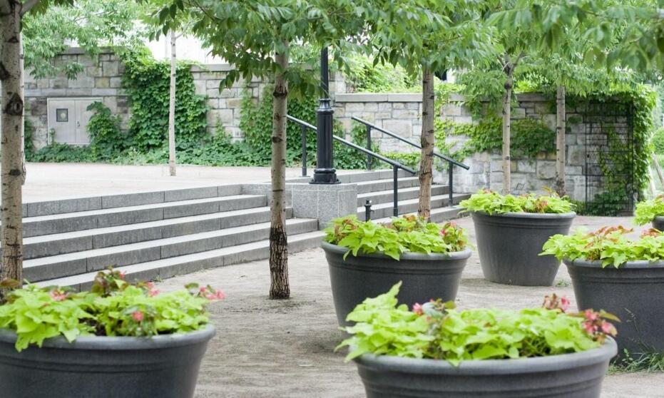 Zalety stosowania koszy betonowych w miejscach publicznych