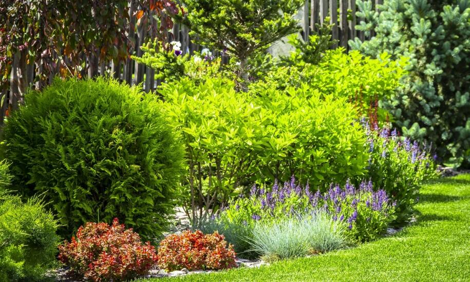 Skuteczność nawozów organicznych w pielęgnacji ogrodu