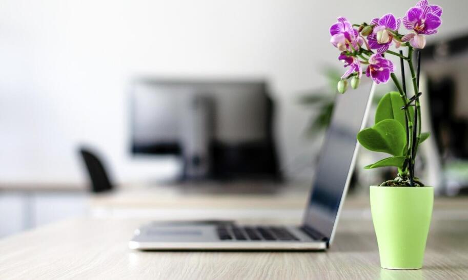 Ile godzin można pracować w ciąży?