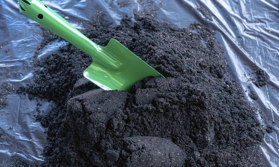 Jakie podłoże wybrać do skrzyni na warzywa?