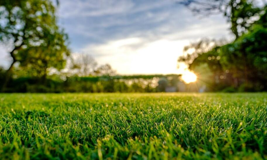 Jak zrobić podwyższone grządki warzywne?