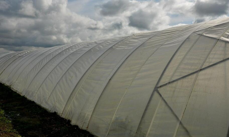 Jak samodzielnie zrobić skrzynię na warzywa