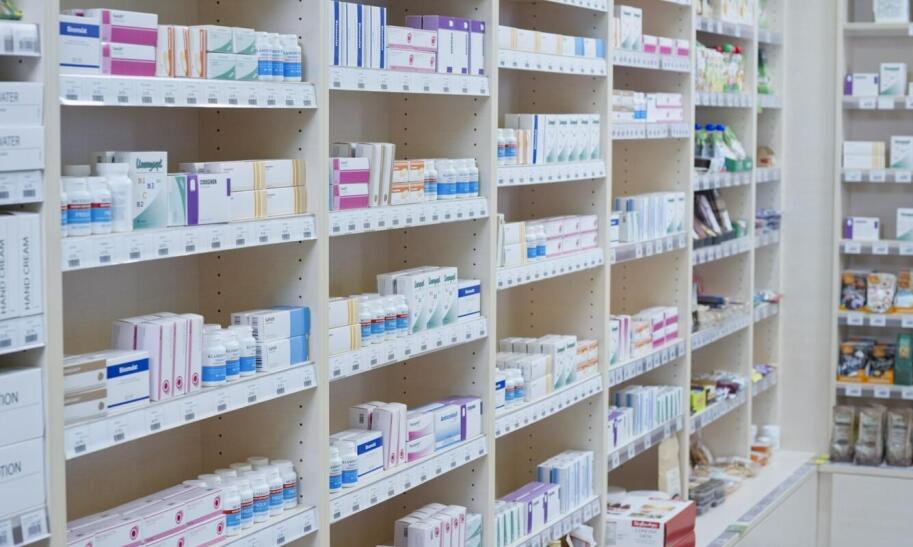 Szynszyle hodowla czy się opłaca?