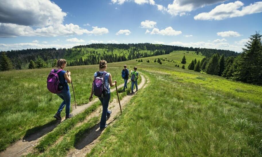 Podlasie z dziećmi – gdzie warto pojechać