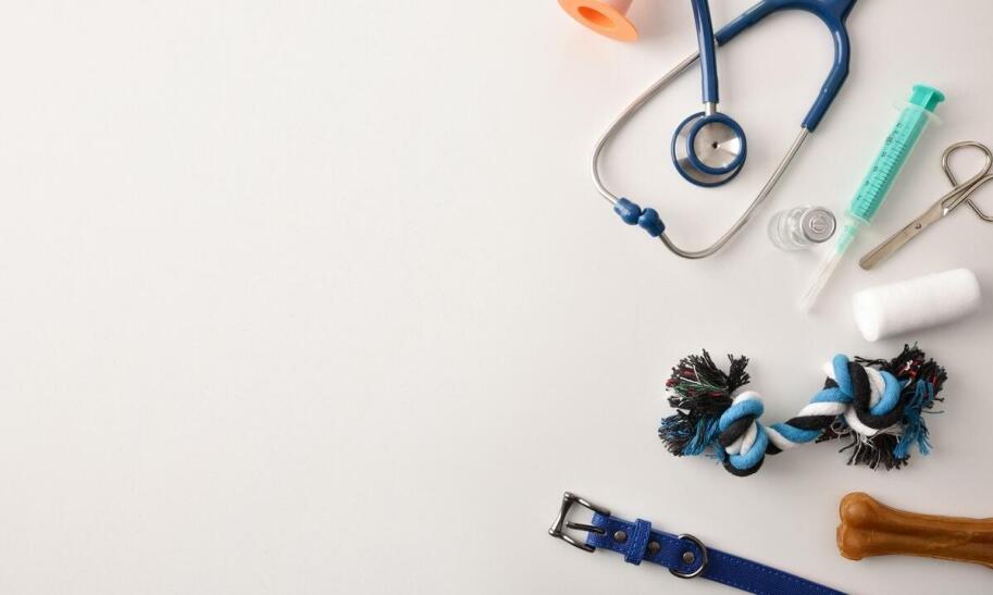 Ile jest ważny paszport dla psa