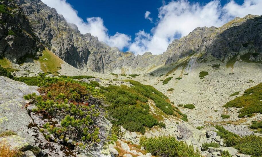 Zakopane – gdzie się wybrać na ciekawy spacer?