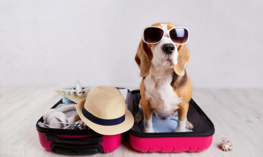 Jak kupić tanie bilety lotnicze według użytkowników forum?