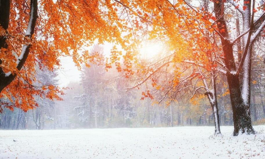 Jak zacząć przygodę z biegówkami?