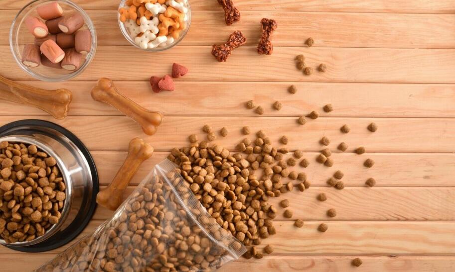 Jaki silnik elektryczny wybrać do jachtu?