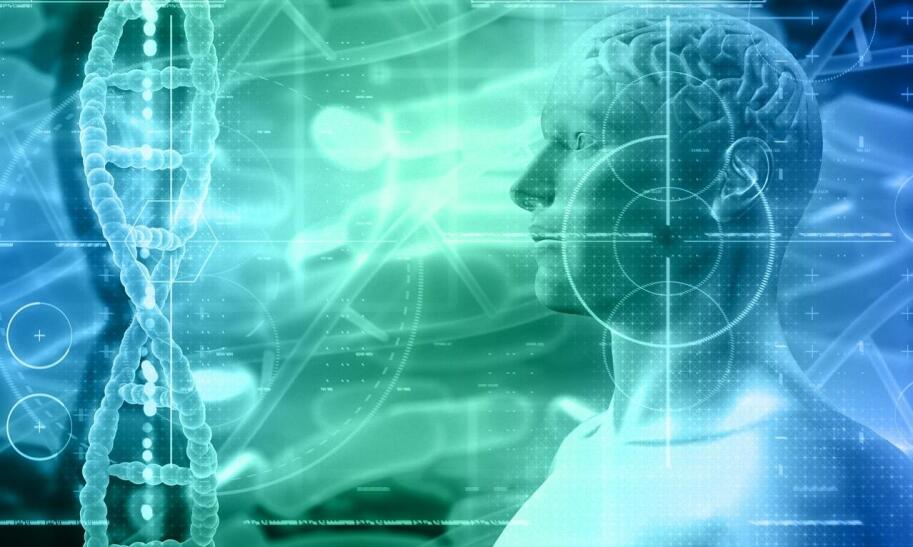 Ile procent tkanki tłuszczowej ma człowiek?